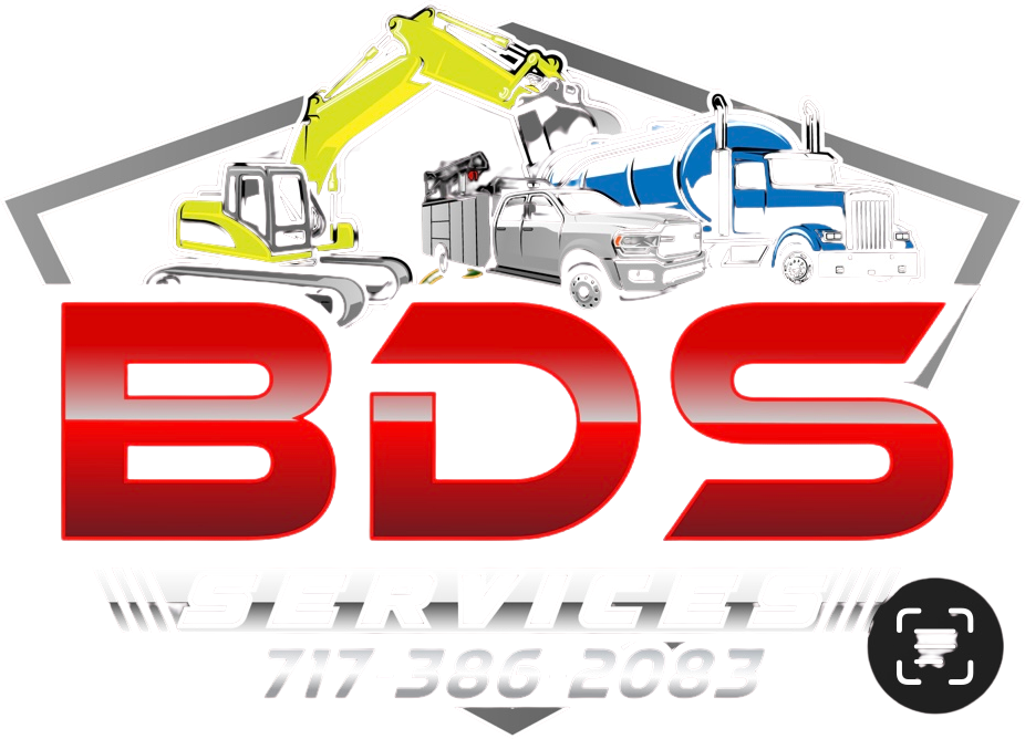 BDS Services logo
